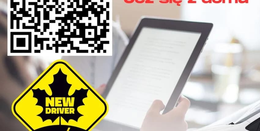 Credo Testy: Jak zdać testy Credo na prawo jazdy? Poradnik