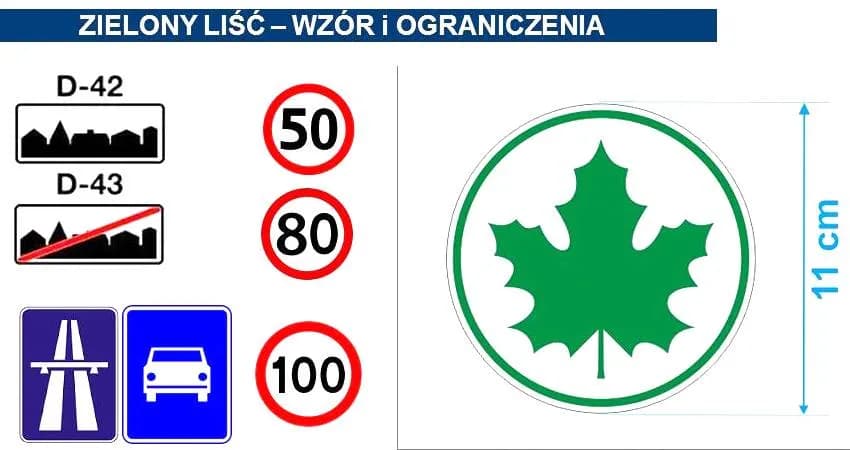 Zielony listek: Gdzie kupić i czemu jest kluczowy dla kierowcy?