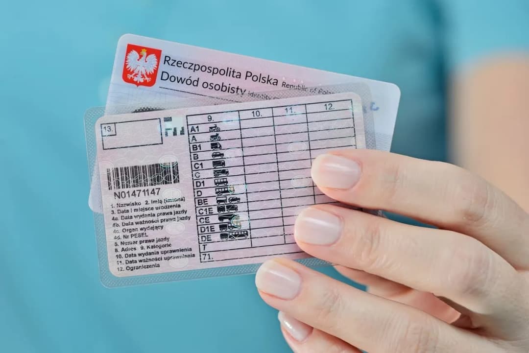 Zdany Egzamin Teoretyczny: Co robić dalej po zdaniu egzaminu?